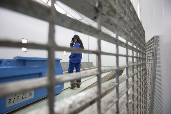 Окрасочно-сушильная камера для дизельных двигателей. Завод по производству дизельных двигателей "Астана Дизель Сервис", Астана (Казахстан)